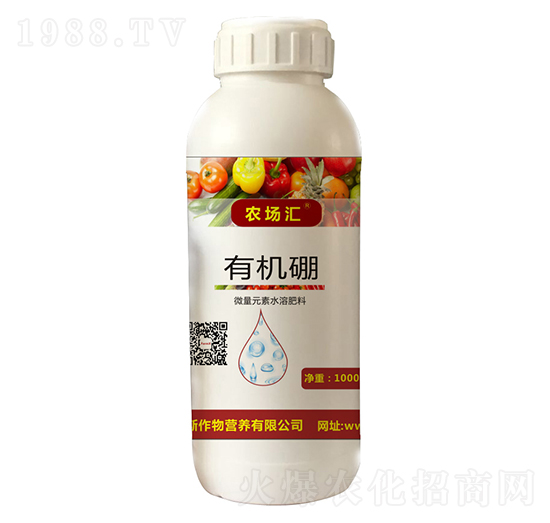 �ЙC(j��)��-�r(n��ng)���R-������˹