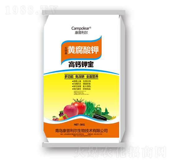 �S����⛸��}⛌�-��������