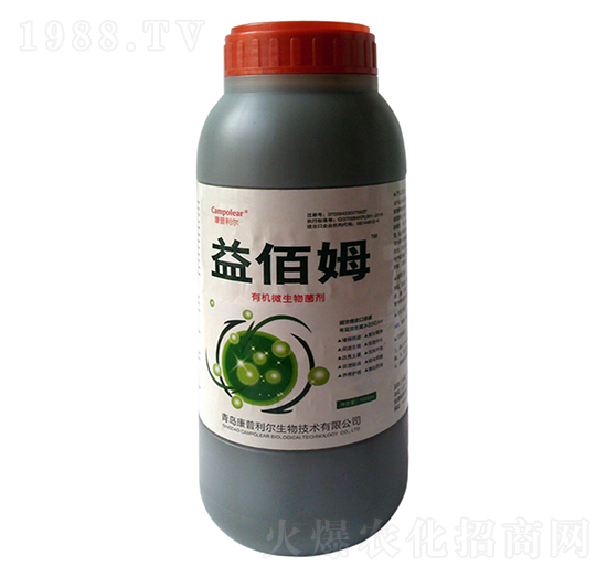 ���ĸ-��������