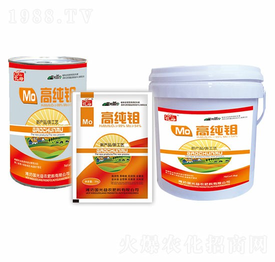 �߼��f-�������r