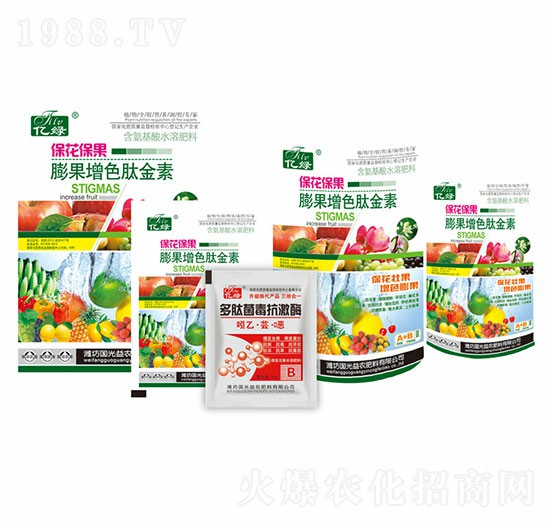 ����������L��ɫ��-�������r(n��ng)