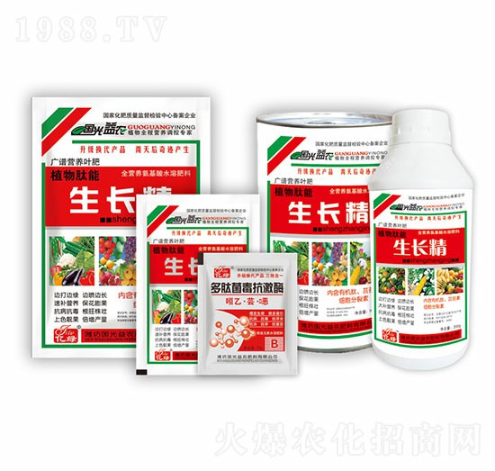 ֲ���������L��-�������r