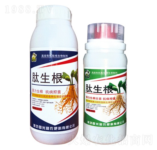 ������-�������r