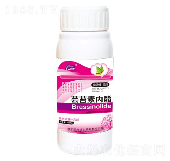 �|̦�؃�(n��i)��-�������r(n��ng)