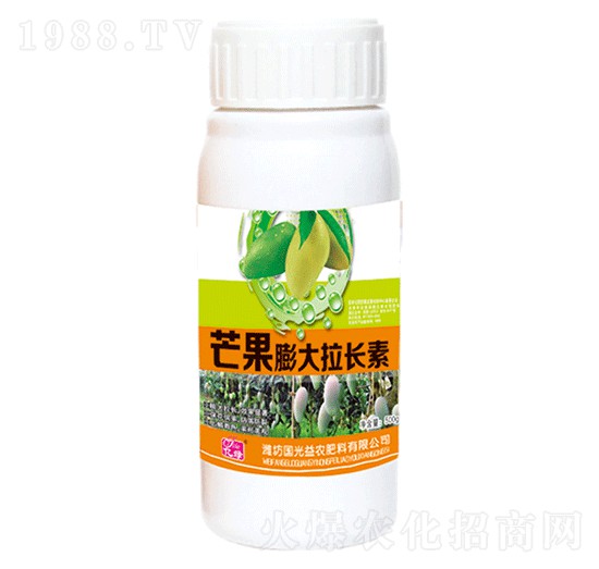 â��������L��-�������r(n��ng)