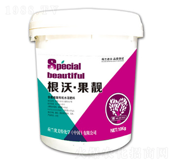 ����-���n-��(y��u)����-����r(n��ng)�I(y��)