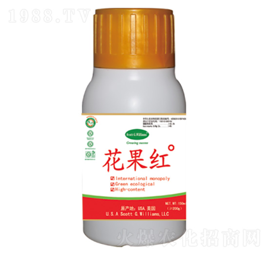 �����t�߹�������ɫ���M��-�����t-���A��