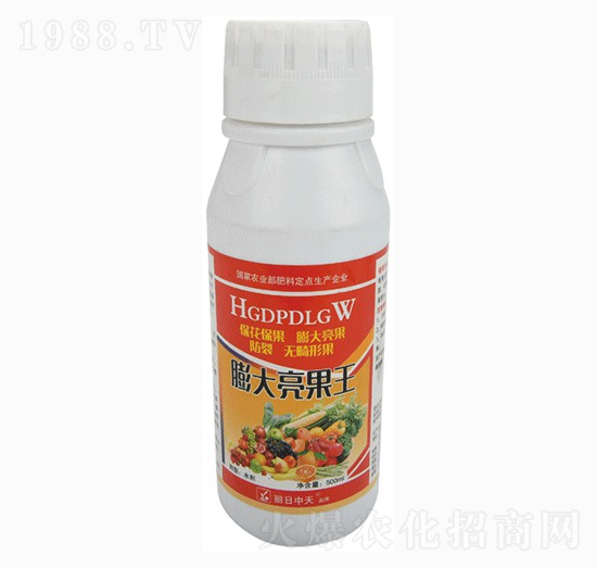 ���������-����ʘI(y��)