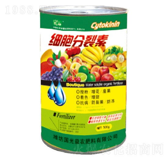 ����������-�������r