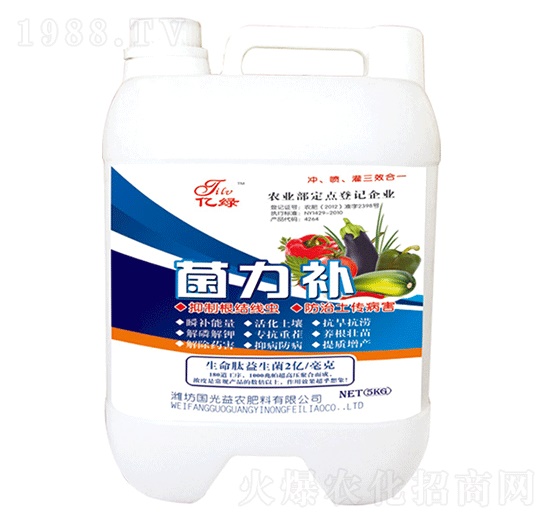 �����a(b��)-�������r(n��ng)