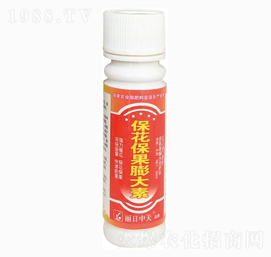 �������������-����ʘI(y��)