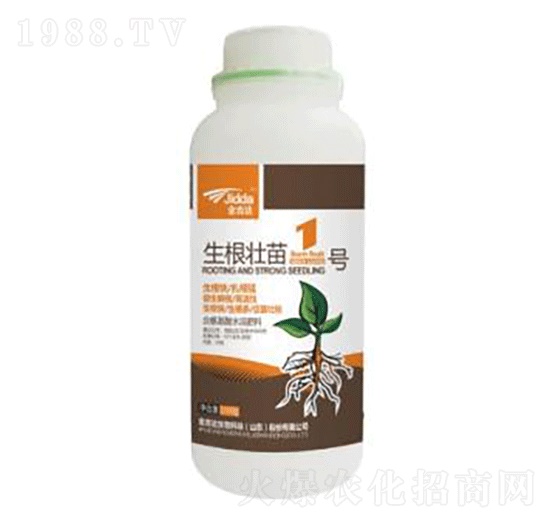 ��������1̖-���_