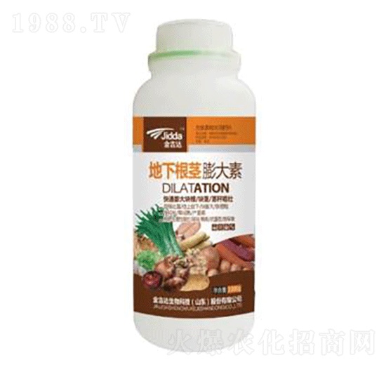 ���¸��o�����-���_