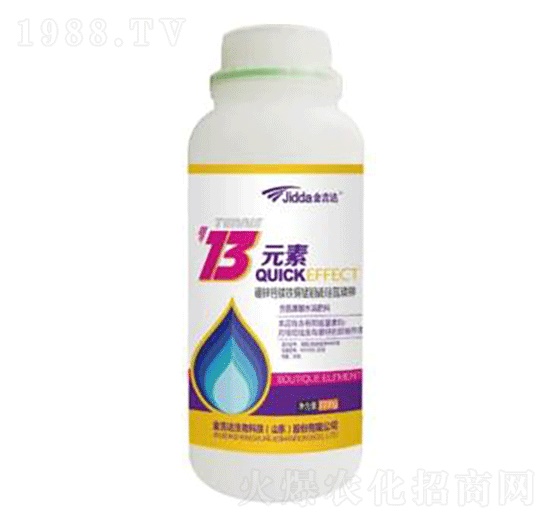 ʮ��Ԫ��-���_(d��)