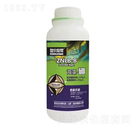 ������-���_(d��)