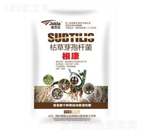 枯草芽孢桿菌-根康-金吉達