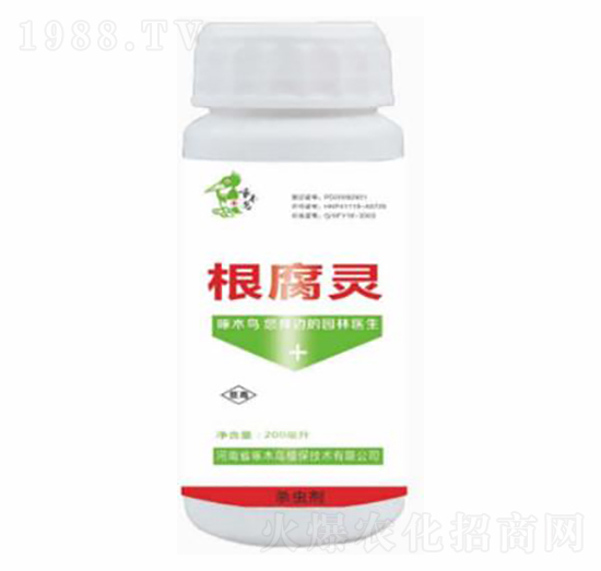 ���w�Ѹ����`-��ľ�B