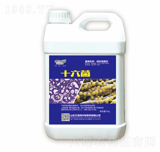 ʮ����-���Z��