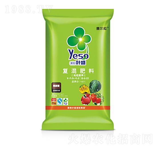 ���������-�~ʢ����