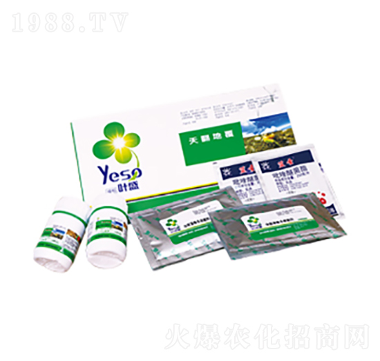 �������ȫ�I(y��ng)�B(y��ng)-�~ʢ����