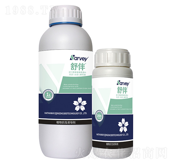 �M�ڰ���������ԭ��-���-�����f