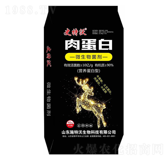 10�|�⵰��΢�������-ʷ����-ʩ����