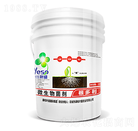 ΢�������-�������_ʩ��-�~ʢ����