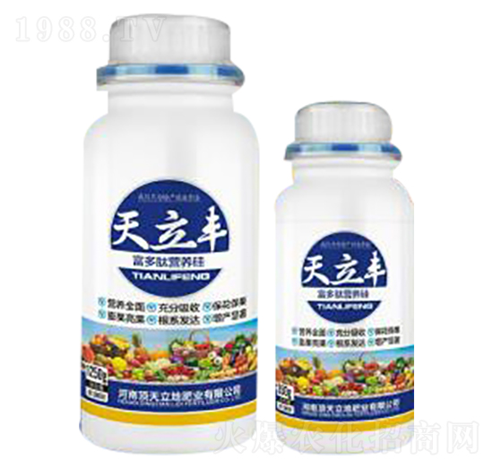 �����ĠI(y��ng)�B(y��ng)��-�����S-�������