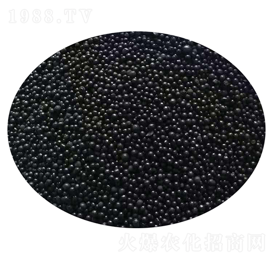 �ЙC�o�C��(f��)����w��-�W������