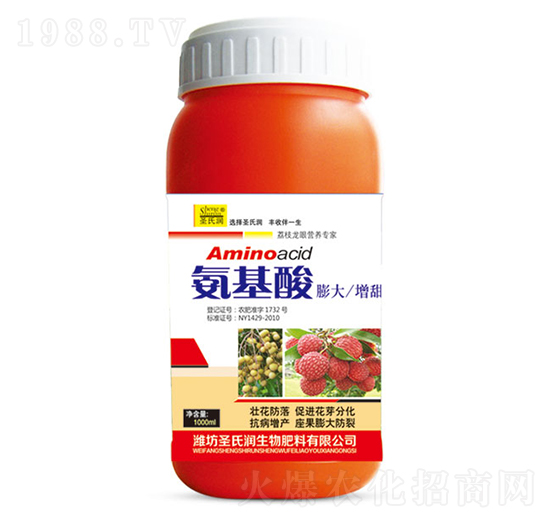 �������������-ʥ�ϝ�(r��n)