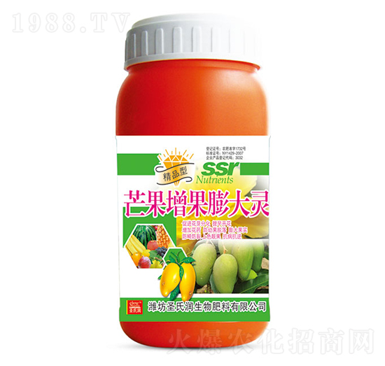 â����������`-ʥ�ϝ�