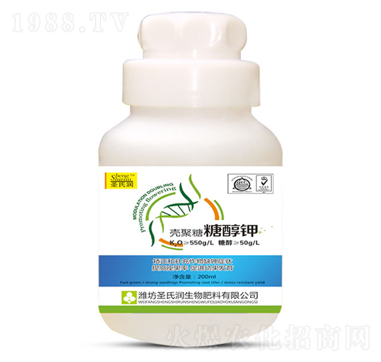 �������Ǵ��-ʥ�ϝ�