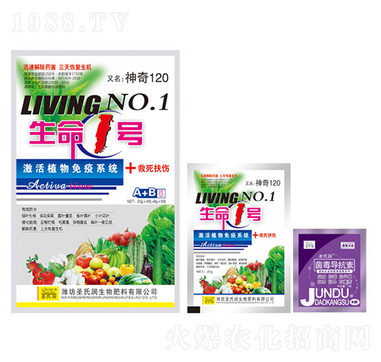 ����1̖(h��o)A+B-ʥ�ϝ�(r��n)