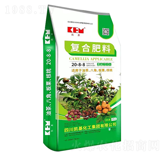 �ͺϷ���20-8-8-�P��