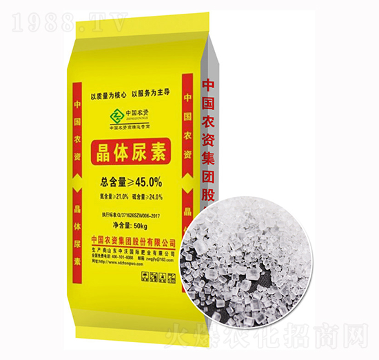 ���w����-����