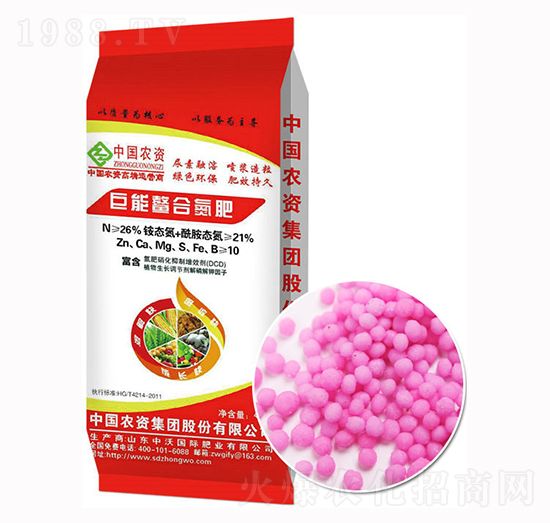 �w����������ϵ���-����