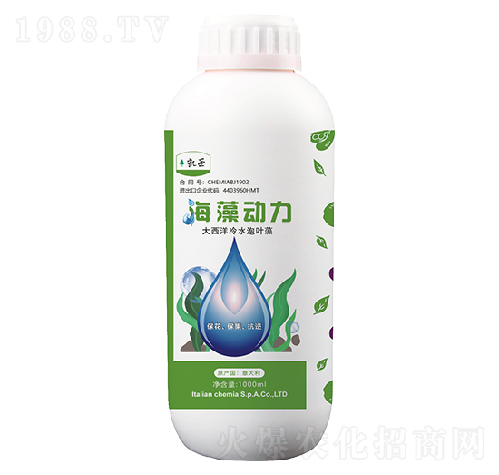 �������-����}