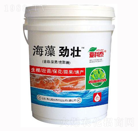 ����ŉ�-�ۿ�̩