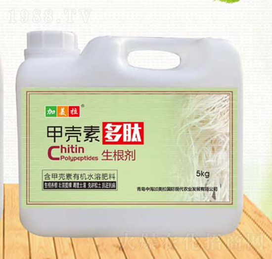 �ך��ض���������-�Ӹ�-������