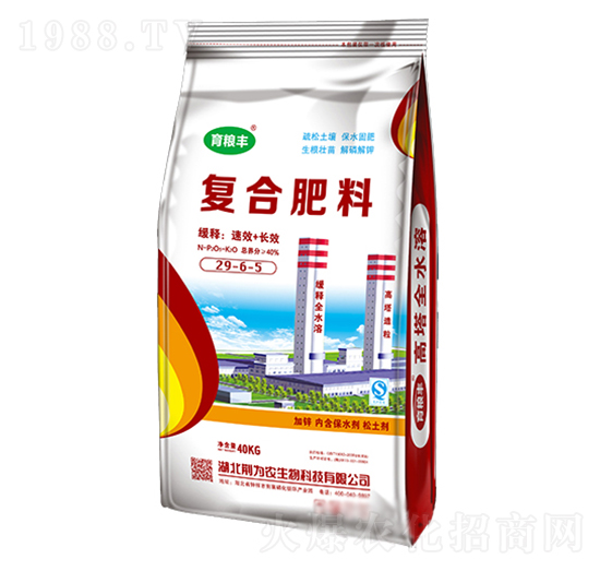 �ͺϷ���29-6-5-���Z�S