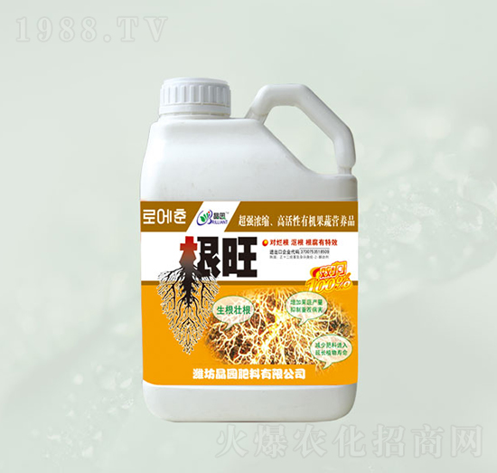 �����~���-���@����