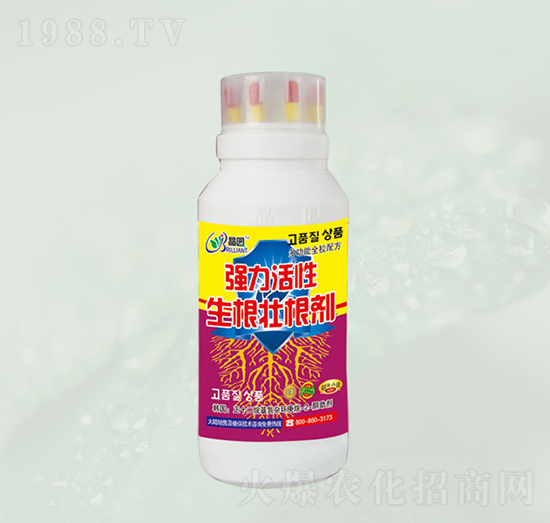 �������������Ѹ���-���@����