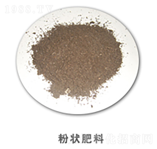 �۠����-�������