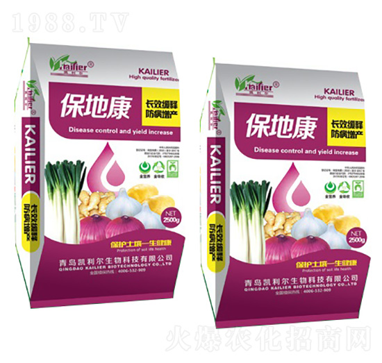 �LЧ��ጷ������a-���ؿ�-�P����