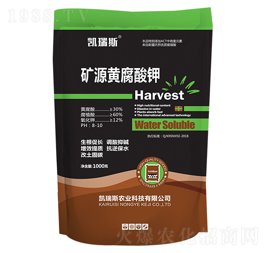 1000g�VԴ�S�����-�P��˹