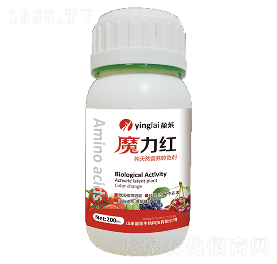 ħ���t-ӯ�R����