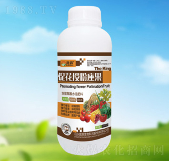 �ٻ��ڷ�����-��������