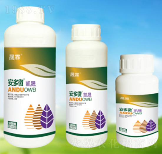 ����΢�P��-��������