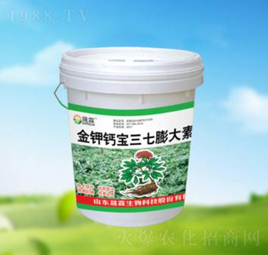 ����}�����������-��������