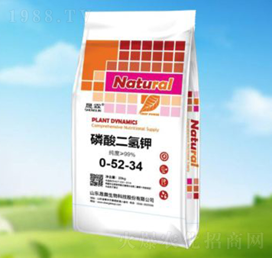 ��������0-52-34-��������